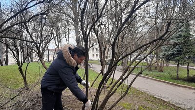 У Львові обрали міських садівників. Що вони робитимуть У Львові обрали міських садівників. Що вони робитимуть