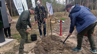 "Ліс пам’яті", лісівники - військові