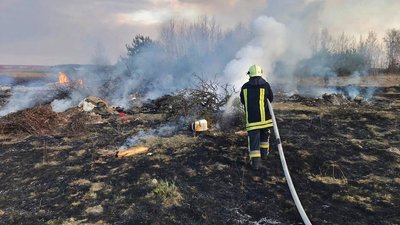 Пожежа на Волині, горіла суха трава і чагарники, палії на Волині