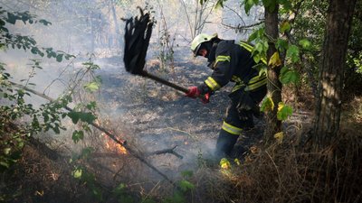 На Харківщині горить суха трава На Харківщині горить суха трава
