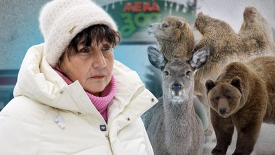 Зима в зоопарку на Чернігівщині: Менський зоопарк, тварини