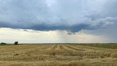Краєвид