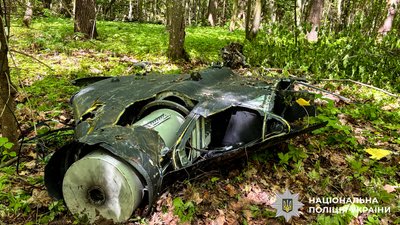 Знищили бойову частину дрона, яку знайшли на подвір'ї домоволодіння — поліція