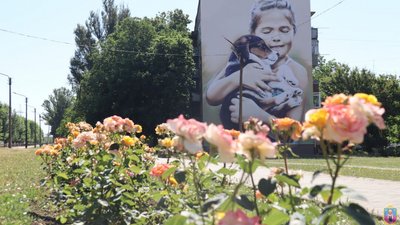 За два роки в місті на Дніпропетровщині висадили понад тисячу паркових троянд
