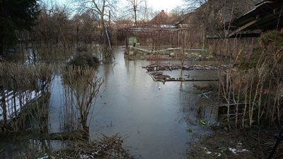 33 двори підтопило в Ужгороді та в Ужгородському районі 33 двори підтопило в Ужгороді та в Ужгородському районі