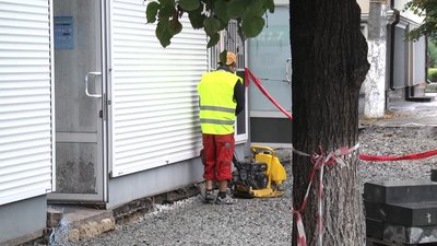 У Житомирі на Театральній дерева, яким підрубали коріння під час будівельних робіт, можуть загинути У Житомирі на Театральній дерева, яким підрубали коріння під час будівельних робіт, можуть загинути