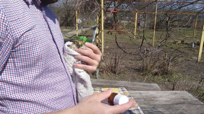 Грач Річард з зламаним крилом, яструб Картопля не літає. Такі птахи живуть у кропивницькому притулку Грач Річард з зламаним крилом, яструб Картопля не літає. Такі птахи живуть у кропивницькому притулку