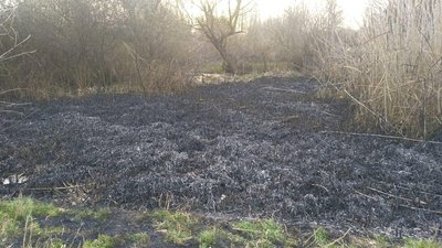 Розважався напідпитку: на Херсонщині затримали палія очерету