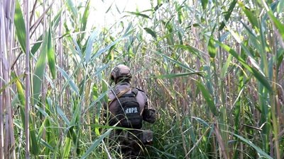 Коноплі на 10 млн грн. На Херсонщині судитимуть двох людей за вирощування наркорослин у плавнях Коноплі на 10 млн грн. На Херсонщині судитимуть двох людей за вирощування наркорослин у плавнях