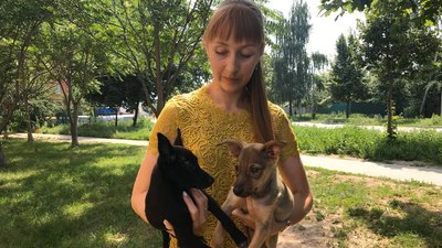 "Просили знайти їм гарних господарів": полтавським волонтерам військові передали цуценят "Просили знайти їм гарних господарів": полтавським волонтерам військові передали цуценят