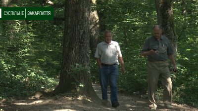 Не можуть пройти лісом, аби набрати воду: в Ужгороді викликали поліцейських через приватизацію землі Не можуть пройти лісом, аби набрати воду: в Ужгороді викликали поліцейських через приватизацію землі
