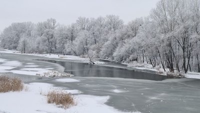 Наступного тижня на Сумщині очікується морозна та суха погода