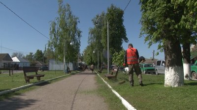 тимчасові тимчасові