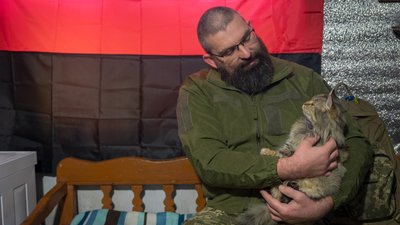 кішка, ЗСУ, Дніпро