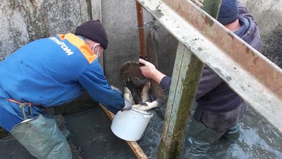 Фото: Держекоінспекція у Хмельницькій області Фото: Держекоінспекція у Хмельницькій області