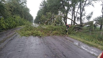 Пожежа від удару блискавки та повалені дерева: наслідки грози на Вінниччині