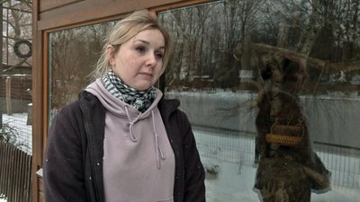 Зима в Луцькому зоопарку: як живуть тварини у відкритих і "теплих" вольєрах Зима в Луцькому зоопарку: як живуть тварини у відкритих і "теплих" вольєрах