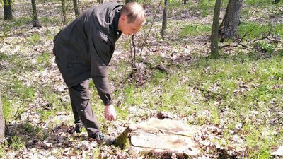 На Вінниччині незаконно вирубали дерева на три мільйони гривень На Вінниччині незаконно вирубали дерева на три мільйони гривень