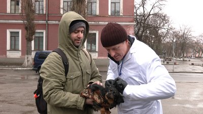 "Тварини — це віддзеркалення своїх господарів". Ветеринарний лікар з Кропивницького про особливості роботи "Тварини — це віддзеркалення своїх господарів". Ветеринарний лікар з Кропивницького про особливості роботи