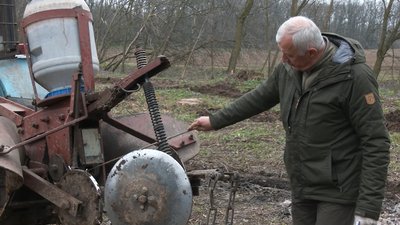 На Черкащині висівають жолуді На Черкащині висівають жолуді