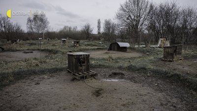 Як волонтери рятують тварин на звільненій Київщині