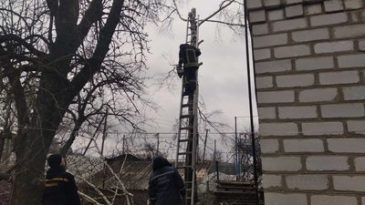 На Житомирщині аварійне дерево впало і перекрило рух транспорту На Житомирщині аварійне дерево впало і перекрило рух транспорту
