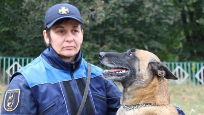 На Сумщині собака Міла рятує людей з-під завалів На Сумщині собака Міла рятує людей з-під завалів