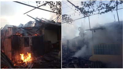 На Закарпатті в пожежі загинули свійські тварини