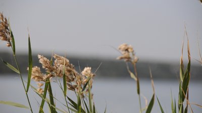 Від заморозків до +19: синоптики розповіли про погоду на Хмельниччині