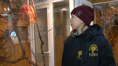Другий приплід за рік: у Черкаському зоопарку поповнення