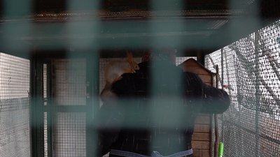 Як живуть тварини в сумському еколого-натуралістичному центрі