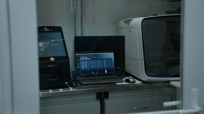 ДНК-експертизи загиблих військових