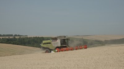 Комбайн збирає урожай на полі Чернівецької області