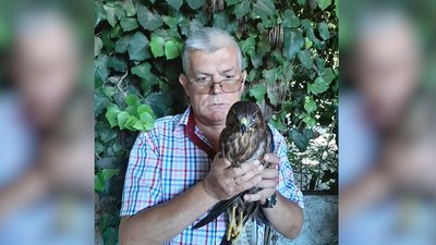 Виснажений та постійно в стресі: у чоловіка в центрі Одеси вилучили яструба Виснажений та постійно в стресі: у чоловіка в центрі Одеси вилучили яструба