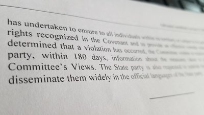 Адвокат з Рівного виграв справу довічника у Комітеті з прав людини ООН Адвокат з Рівного виграв справу довічника у Комітеті з прав людини ООН