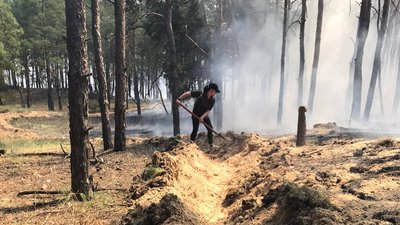 До гасіння лісових пожеж на Херсонщині долучаються місцеві жителі До гасіння лісових пожеж на Херсонщині долучаються місцеві жителі