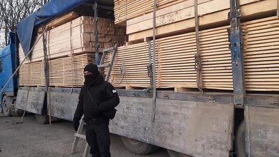 Карпатська смерека на мільйони гривень. СБУ заблокувала нелегальний експорт Карпатська смерека на мільйони гривень. СБУ заблокувала нелегальний експорт