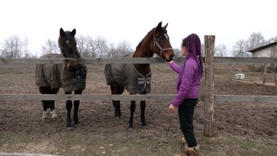 "Я вже думала, що ніколи їх не побачу": як живе "Зоодім" у Рябцях, що на Чернігівщині "Я вже думала, що ніколи їх не побачу": як живе "Зоодім" у Рябцях, що на Чернігівщині
