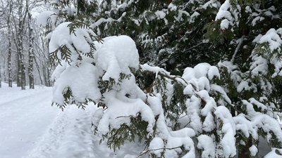 Погода на 10, 11, 12 січня на Рівненщині