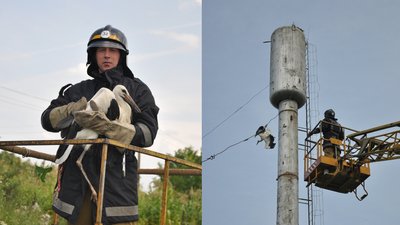 В Одеській області пожежники врятували лелеку