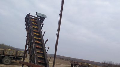 яблука яблука