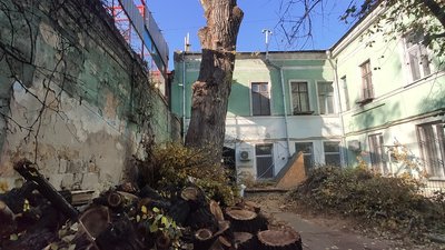 Знищення найбільшого дерева Одеси: збитки оцінили у понад 125 тис. грн Знищення найбільшого дерева Одеси: збитки оцінили у понад 125 тис. грн