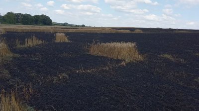 Вигоріло 25 гектарів пшениці: російські військові впродовж дня 7 разів обстрілювали прикордоння Сумщини