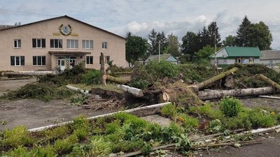 Дерева викорчувало за хвилину: в селі на Волині люди прибирають наслідки буревію та рахують збитки