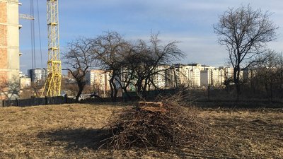 Фото з сайту аукціону Фото з сайту аукціону