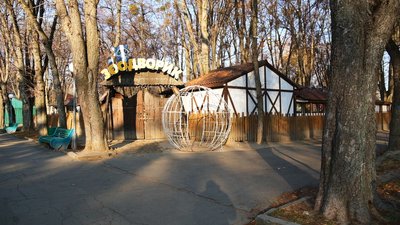 Переселення пернатих: вінницьких лебедів з озера перевезли у зоодворик Переселення пернатих: вінницьких лебедів з озера перевезли у зоодворик