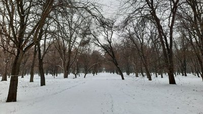 погода, природа, сніг