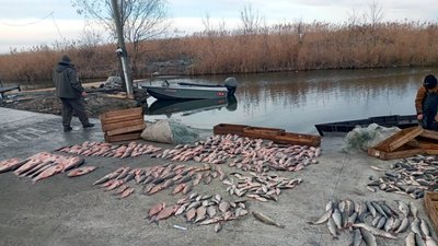 На Одещині затримали браконьєрів, які наловили риби на півтора мільйона гривень