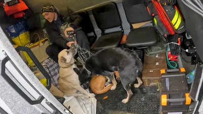 Евакуація людей та тварин з Костянтинівки, Олексієво-Дружківки та Дружківки