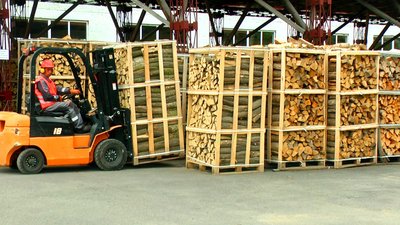 Продають дуб, граб та ясен: у лісництві на Вінниччині проводять акцію “Купуй дрова влітку” Продають дуб, граб та ясен: у лісництві на Вінниччині проводять акцію “Купуй дрова влітку”